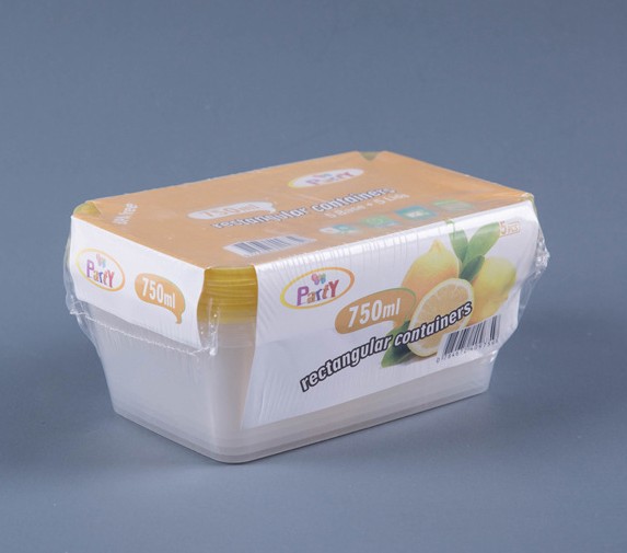 750ML TAKEOUT  RECTANGULAR FOOD CONTAINER WITH LID