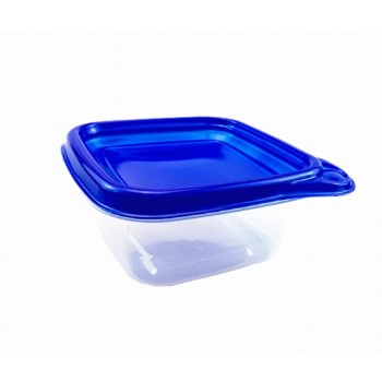 EAMASY  9.5OZ/280ML MINI SQUARE FOOD CONTAINER